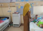 Januari Hingga Mei, RSUD Hj Andi Depu Rawat 36 Pasien DBD