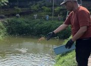 Calon Wakil Bupati Polman H. Zainal Sebut Budidaya Maggot Solusi Entaskan Permasalahan Sampah 10 Calon Wakil Bupati Polman H. Zainal Sebut Budidaya Maggot Solusi Entaskan Permasalahan Sampah