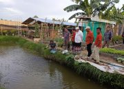 Paslon Urut 3 KH. Syibly Sahabuddin dan H. Zainal Abidin Dukung Upaya Oma Maggot Bani Jaffar Atasi Persoalan Sampah 7 Paslon Urut 3 KH. Syibly Sahabuddin dan H. Zainal Abidin Dukung Upaya Oma Maggot Bani Jaffar Atasi Persoalan Sampah