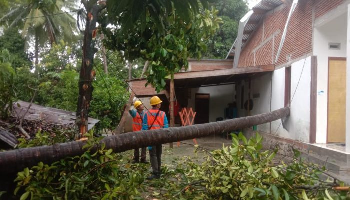 Satu Rumah di Banatorejo Tapango Tertimpa Pohon Kelapa