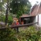 IMG 20241221 WA0000