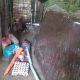 IMG 20250112 WA0008