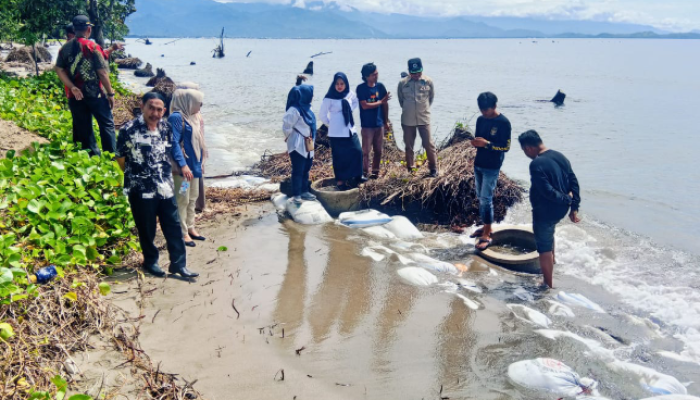 DPRD Polman Pantau Abrasi Pantai Mampie