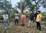 Kepedulian Ketua DPRD Polman, Rumah Tidak Layak Huni Mikik Nurhayati Segera Dibedah 8 Kepedulian Ketua DPRD Polman, Rumah Tidak Layak Huni Mikik Nurhayati Segera Dibedah