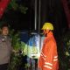 IMG 20250225 WA0001