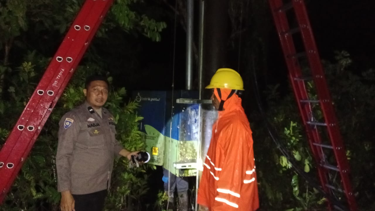 IMG 20250225 WA0001