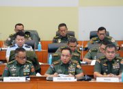 Revisi UU TNI untuk Perkuat Pertahanan Negara dan Profesionalisme Prajurit 8 Revisi UU TNI untuk Perkuat Pertahanan Negara dan Profesionalisme Prajurit