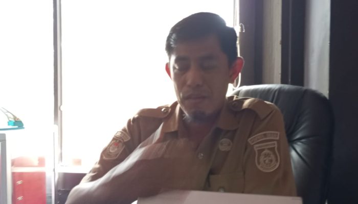 Dinas Perkebunan Sulbar Mulai Salurkan Bibit Kopi dan Kakao di Mamasa