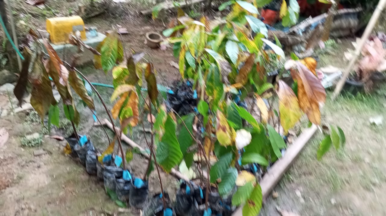 IMG 20250821 WA0004