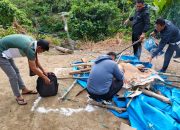 Kapolsek Tapango Pimpin Penggerebekan dan Pemusnahan Arena Sabung Ayam di Kalimbua 8 Kapolsek Tapango Pimpin Penggerebekan dan Pemusnahan Arena Sabung Ayam di Kalimbua