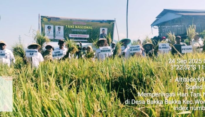 Peringatan Hari Tani Nasional, Distanpan Ajak Petani Tingkatkan Produktivitas Tanaman Pangan