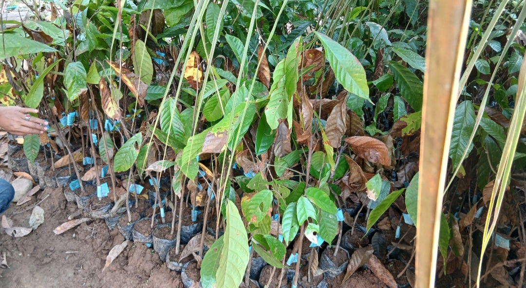 Screenshot 20250909 164853 Gallery