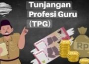 Rp. 4 Miliar Tunjangan Sertifikasi 2024 Segera Dibayarkan 10 Screenshot 20251029 192200 Google