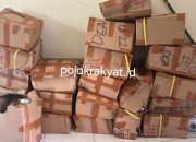 IMG 20251103 WA0005 1