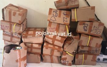 IMG 20251103 WA0005 1