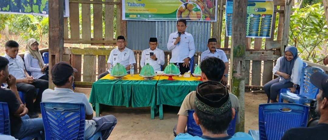 Bupati Polman Resmikan Sanggar Tani Bangkit Bersatu Tabone, Pastikan Pemerintah Hadir Bantu Petani 2 Screenshot 20251119 195321 Gallery