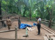 Polsek Polewali, Babinsa dan Lurah Sulewatang Musnahkan Arena Judi Sabung Ayam 11 IMG 20260112 WA0015