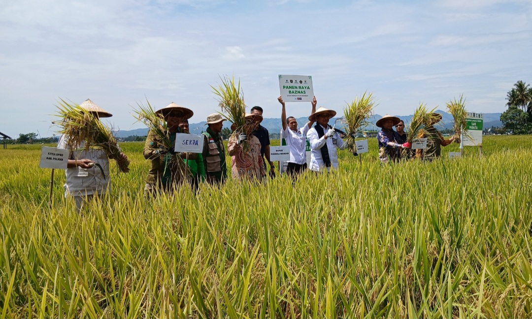 Screenshot 20260122 144403 Gallery