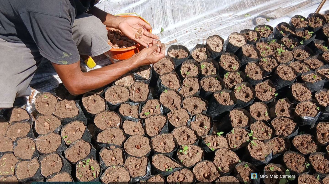 Screenshot 20260126 114036 Gallery