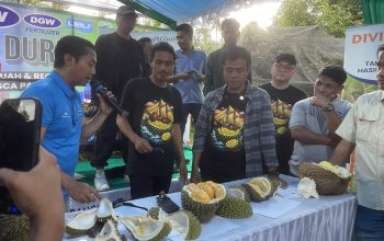 Seminar Durian di Bulukumba Buka Peluang Durian Indonesia Tembus Pasar Global
