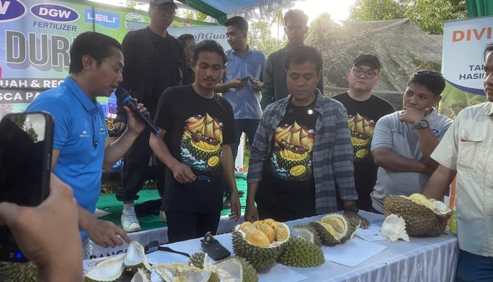 Seminar Durian di Bulukumba Buka Peluang Durian Indonesia Tembus Pasar Global