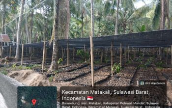 Screenshot 20260211 113053 Gallery