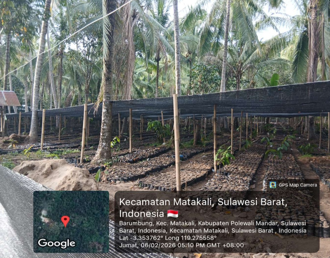 Screenshot 20260211 113053 Gallery