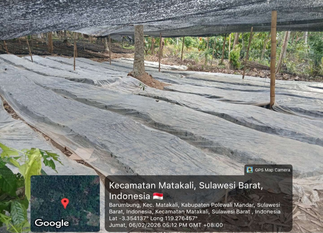 Screenshot 20260211 113128 Gallery