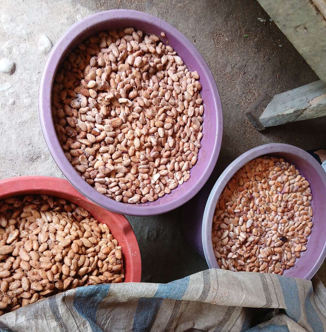 Screenshot 20260218 164547 Gallery