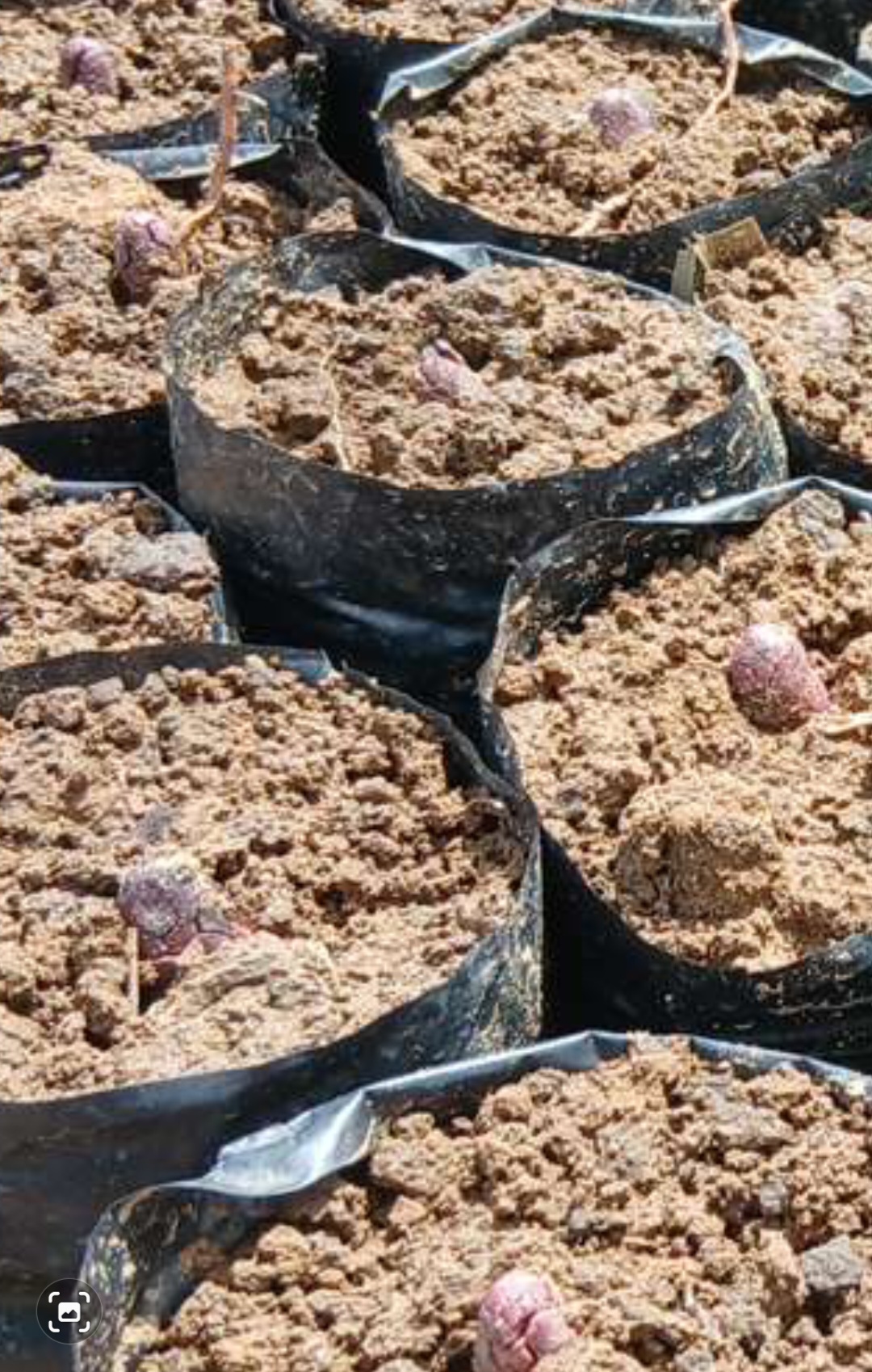 Screenshot 20260220 181740 Gallery