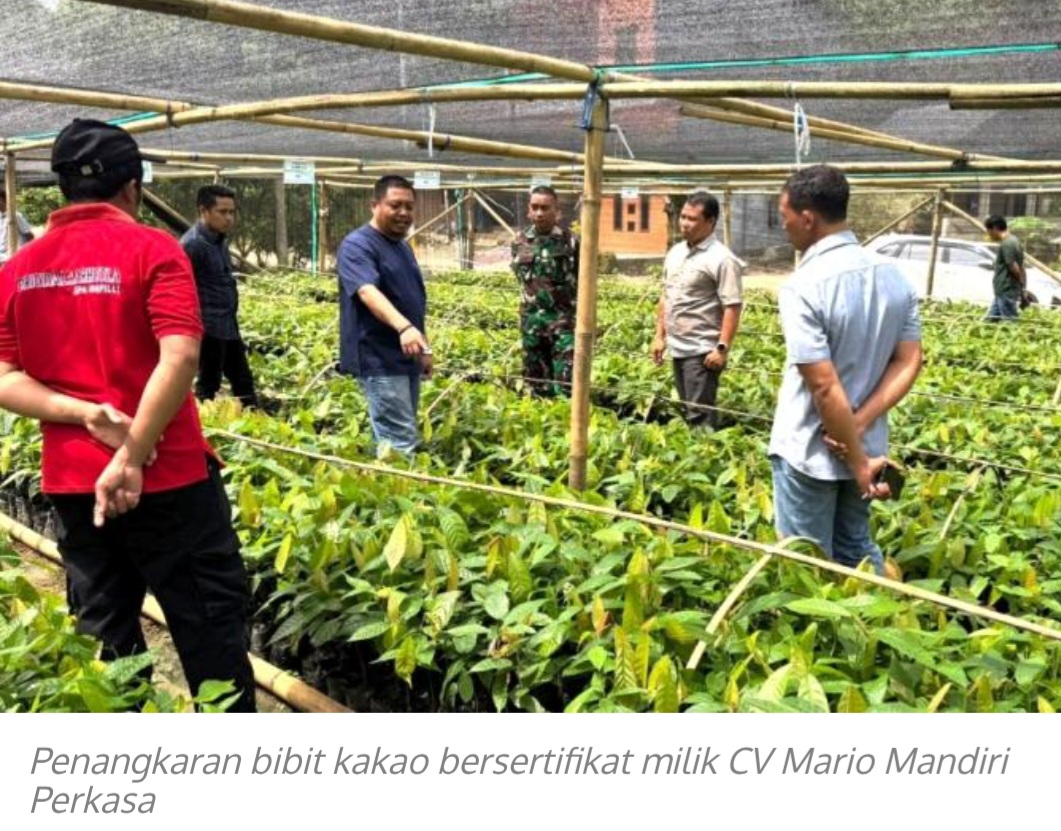 Screenshot 20260223 092352 Chrome