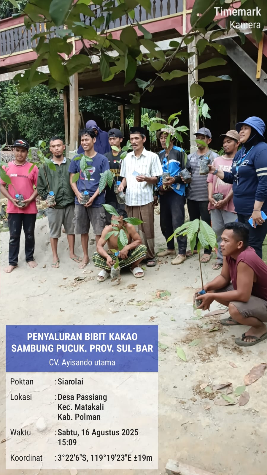 Penyaluran Bibit Kakao Disbun Sulbar 2025 Diklaim Tepat Sasaran 2 IMG 20260317 WA0002