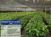 Direktur CV Arafah Abadi Bantah Informasi Yang Diskreditkan Perusahaannya