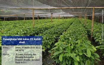 Direktur CV Arafah Abadi Bantah Informasi Yang Diskreditkan Perusahaannya