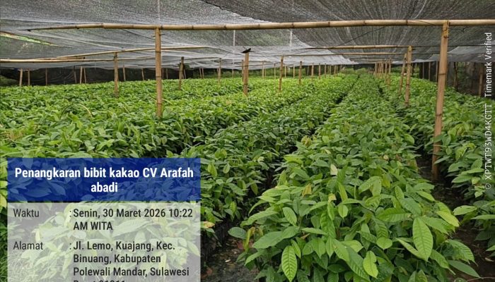 Direktur CV Arafah Abadi Bantah Informasi Yang Diskreditkan Perusahaannya