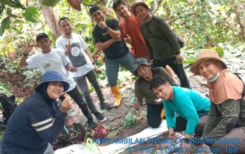 Program Pembibitan Kakao Bersertifikat CV Arafah Abadi Masuki Tahapan Penyambungan Entres