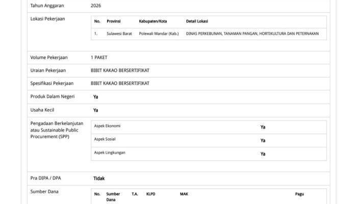 Pemkab Polman Anggarkan Rp. 1,2 M Untuk Pengadaan Bibit Kakao Bersertifikat
