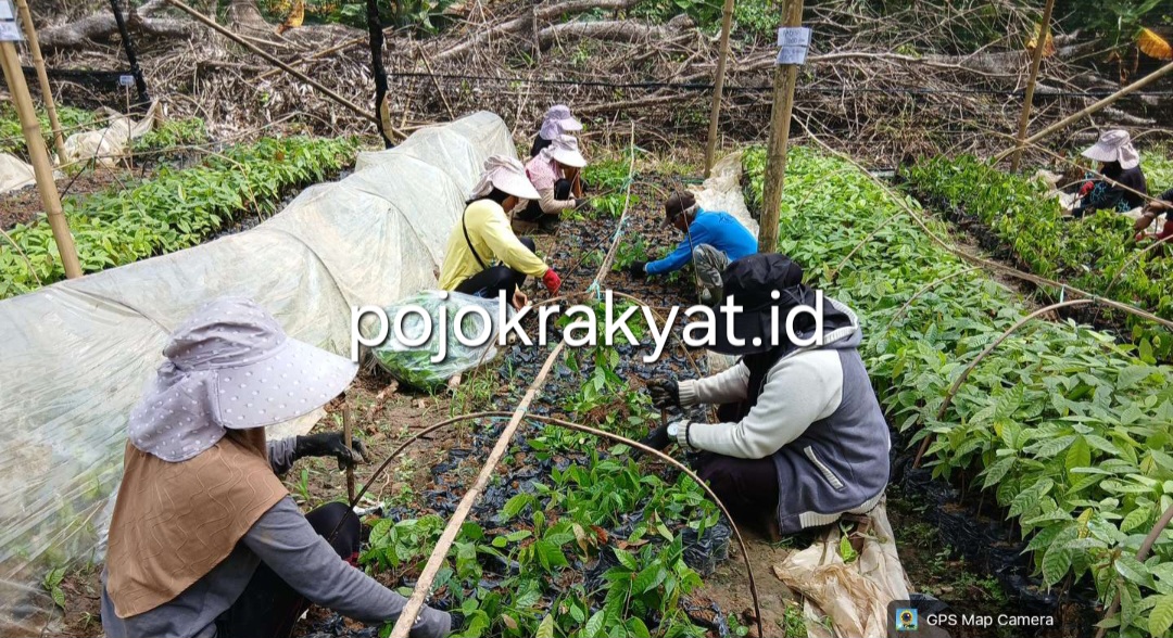 Screenshot 20260310 094104 Gallery