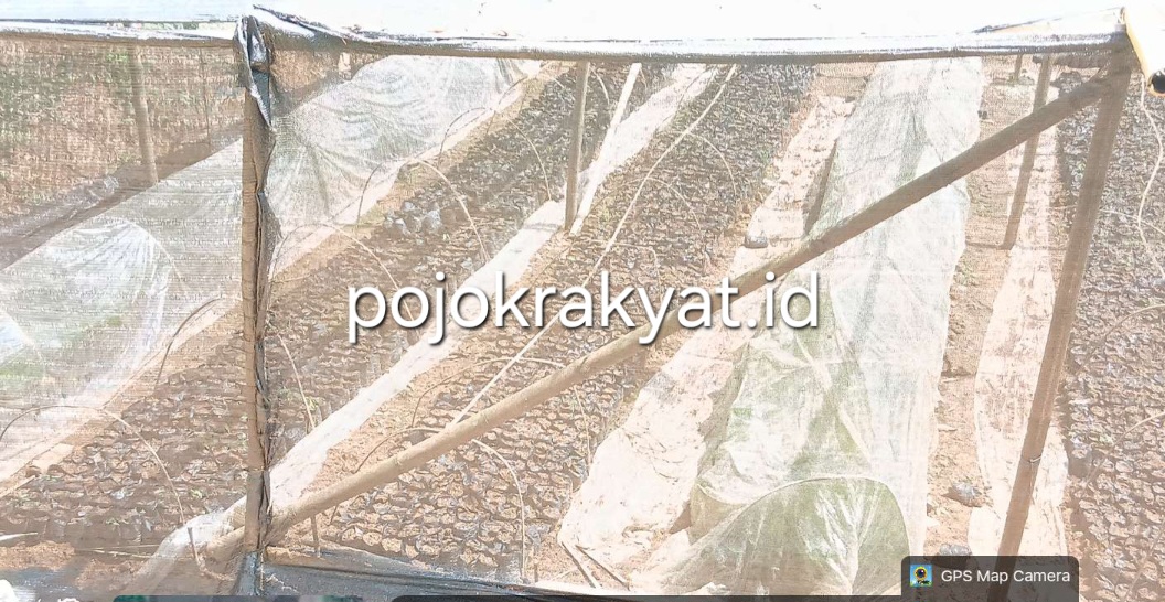 Screenshot 20260310 094810 Gallery