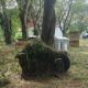 IMG 20260404 WA0012