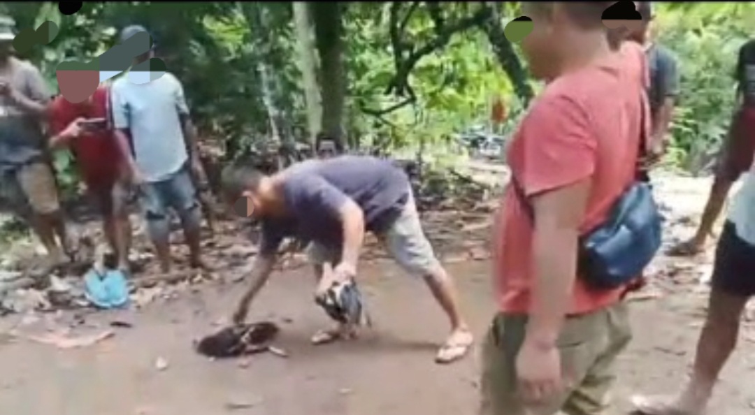 IMG 20260406 WA0000 1