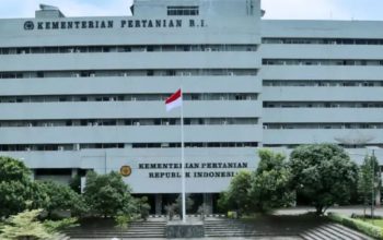 PPK Ditjen Perkebunan Kementan RI Sarankan Rekanan Kakao di Sulbar Somasi Penyebar Informasi Miring