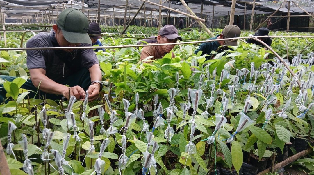 Screenshot 20260415 211159 Gallery