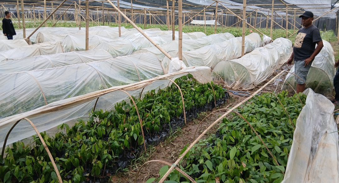 Screenshot 20260415 221245 Gallery