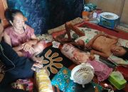 Screenshot 20260416 121610 Gallery