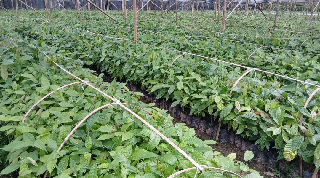 Screenshot 20260422 084341 Gallery