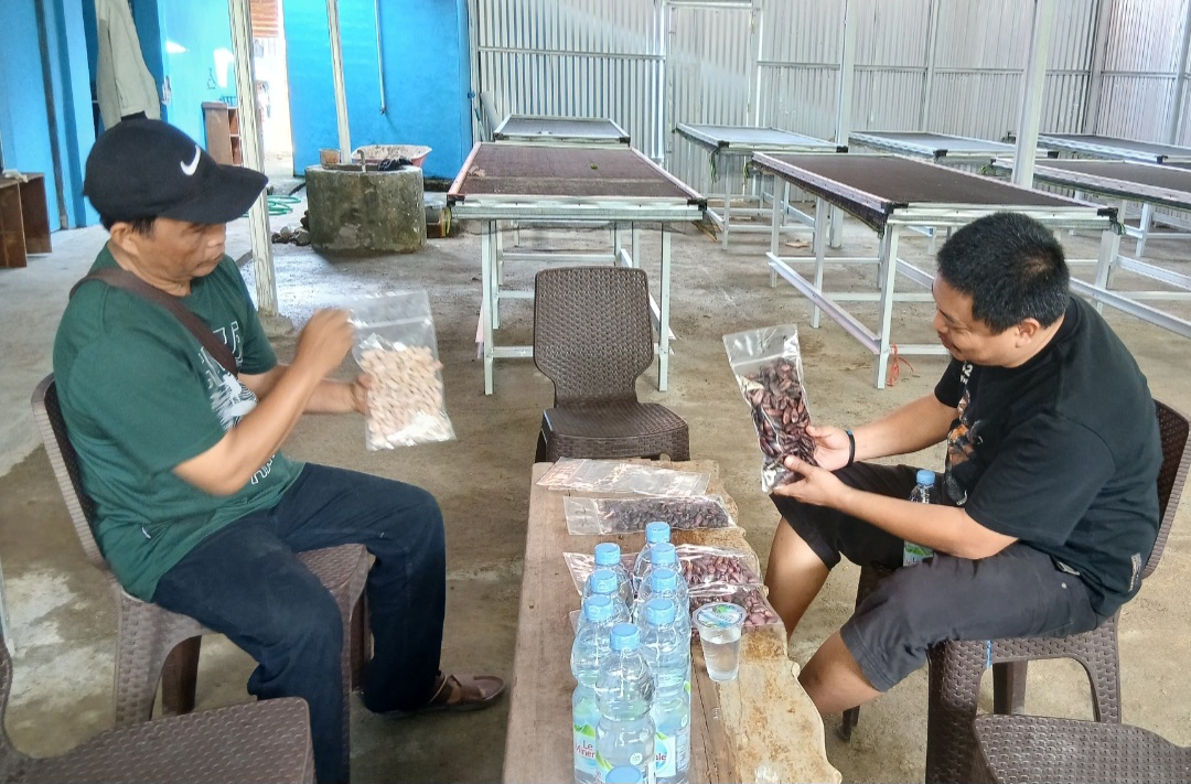 Seed Processing CV Mario Mandiri Layani Pengadaan Benih Kakao Unggul 2 Screenshot 20260522 164048 Gallery