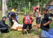 Komunitas Sedekah Jum’at dan Guru AGPAI Polman Sembelih Dua Sapi untuk Warga Kurang Mampu
