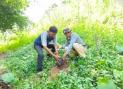 Tanam Pohon di DAS Anreapi, Mandar Lestari dan Sahabat Penyu Perkuat Ketahanan Lingkungan