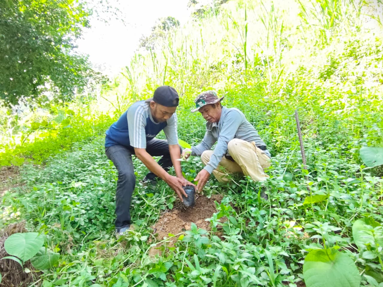 Ketua Mandar Lestari Tamrin (Tapol) bersama Wakil Ketua Tamrin menanam pohon di DAS Kunyi. Selasa 23 Juni 2026.